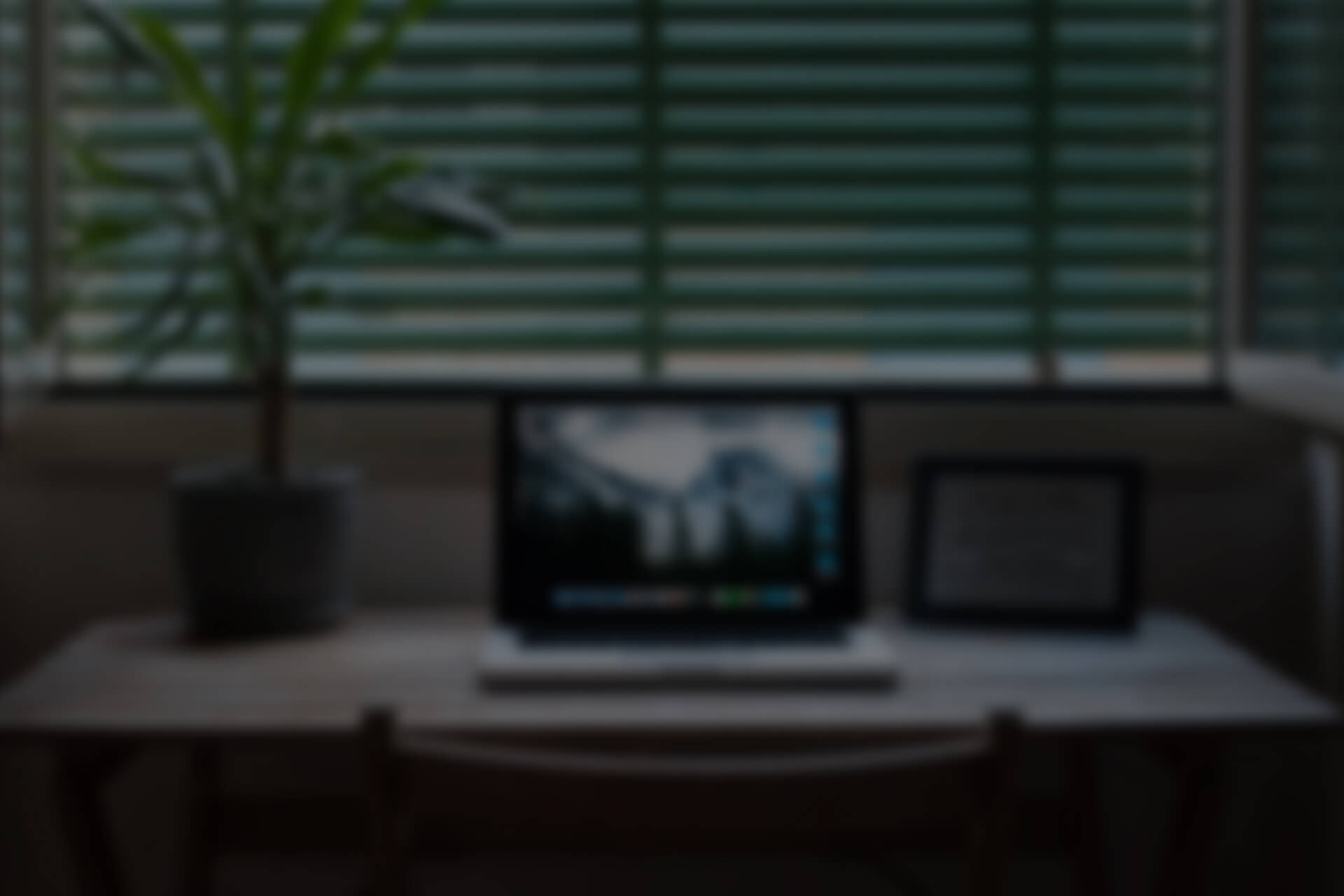 پس‌زمینه توحید عزیزی